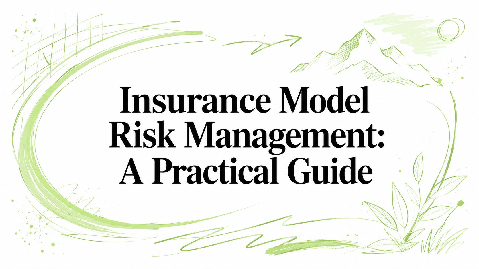 Insurance Model Risk Management: A Practical Guide
